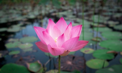 脸上不出汗的解决方法-脸上不出汗怎么出汗多专区_脸上不出汗怎么回事专区_脸上不出汗怎么出汗网