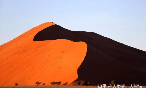 脸上不出汗怎么出汗多专区_脸上不出汗怎么回事专区_脸上不出汗怎么出汗网